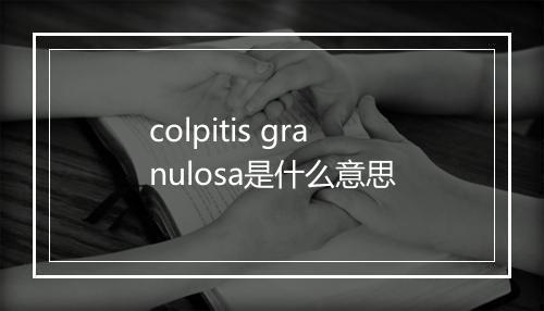 colpitis granulosa是什么意思