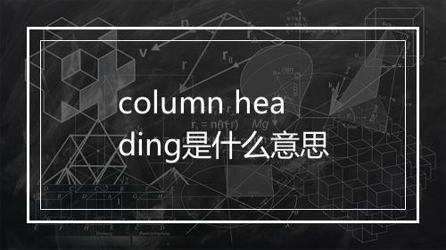 column heading是什么意思