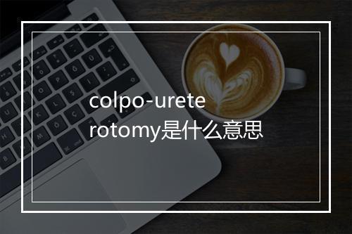 colpo-ureterotomy是什么意思