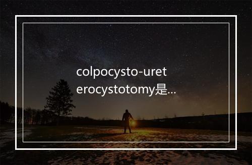 colpocysto-ureterocystotomy是什么意思