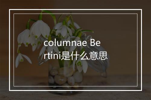 columnae Bertini是什么意思