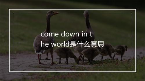 come down in the world是什么意思