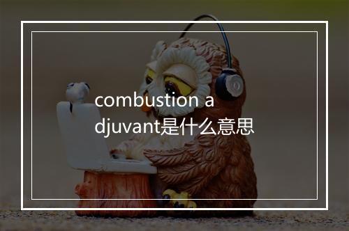 combustion adjuvant是什么意思