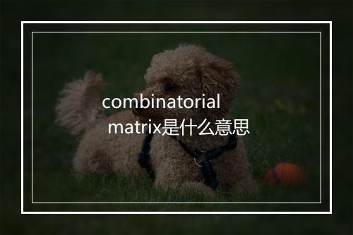 combinatorial matrix是什么意思