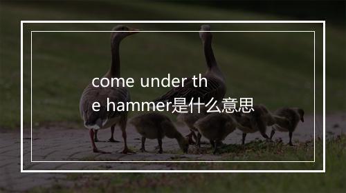 come under the hammer是什么意思