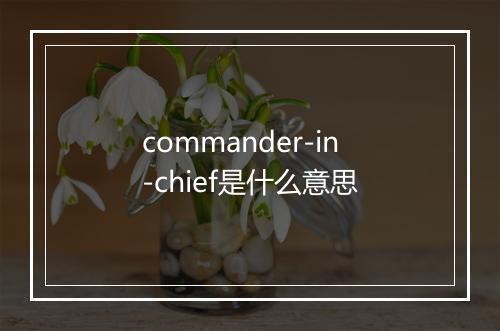 commander-in-chief是什么意思