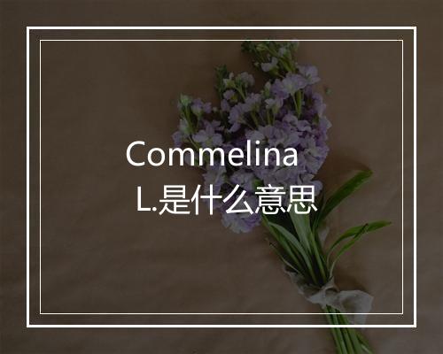 Commelina L.是什么意思