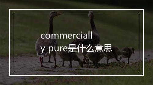 commercially pure是什么意思