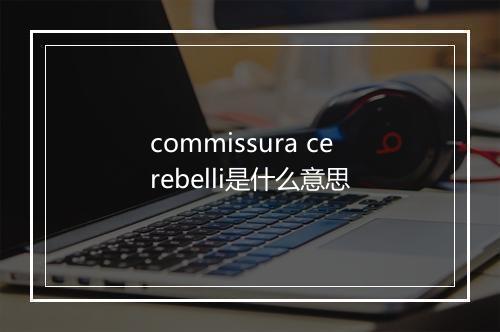 commissura cerebelli是什么意思