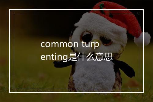 common turpenting是什么意思