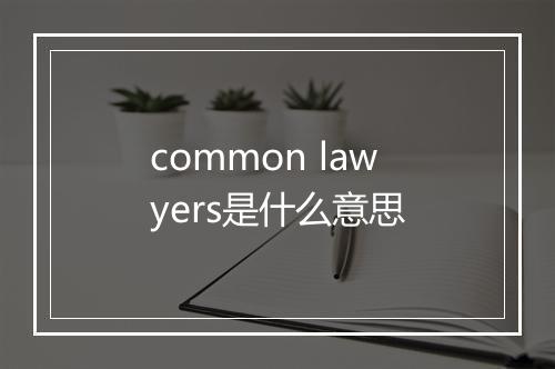 common lawyers是什么意思