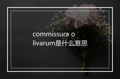 commissura olivarum是什么意思