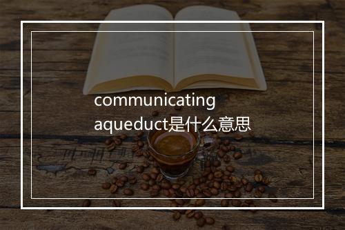 communicating aqueduct是什么意思