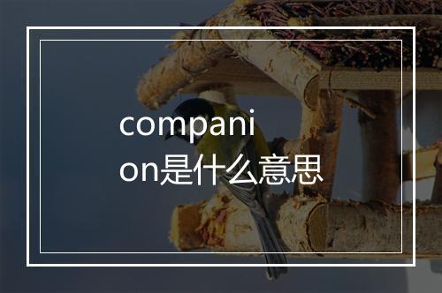 companion是什么意思