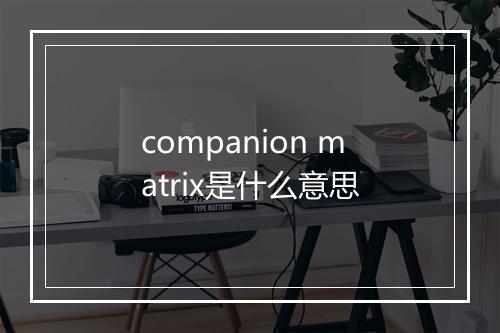 companion matrix是什么意思