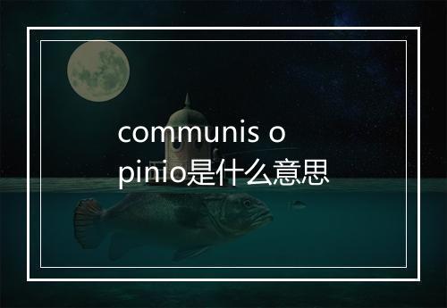 communis opinio是什么意思