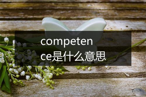 competence是什么意思