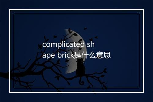 complicated shape brick是什么意思