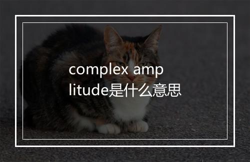 complex amplitude是什么意思