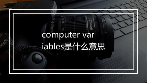 computer variables是什么意思