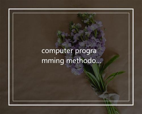 computer programming methodology是什么意思