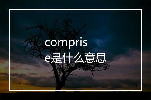 comprise是什么意思