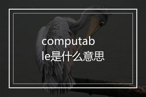 computable是什么意思