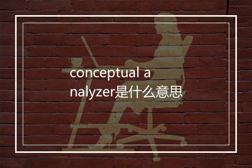 conceptual analyzer是什么意思