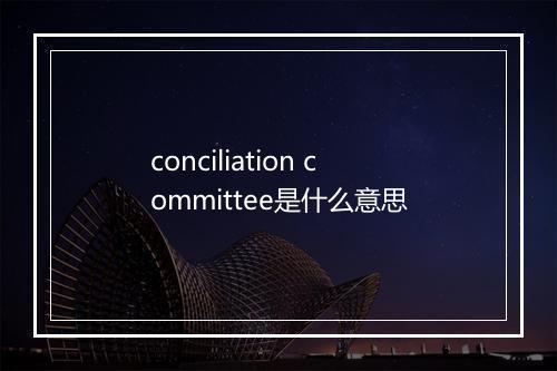 conciliation committee是什么意思