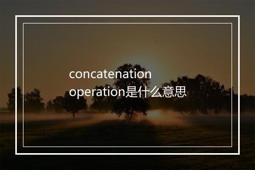 concatenation operation是什么意思