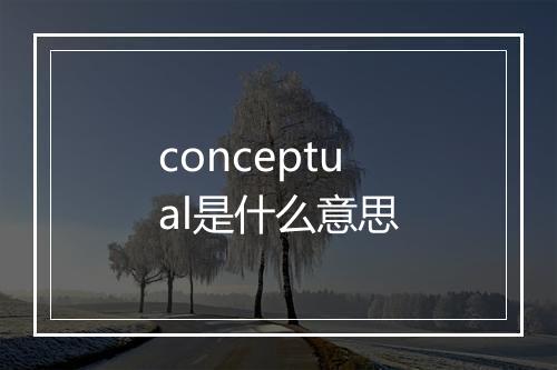 conceptual是什么意思