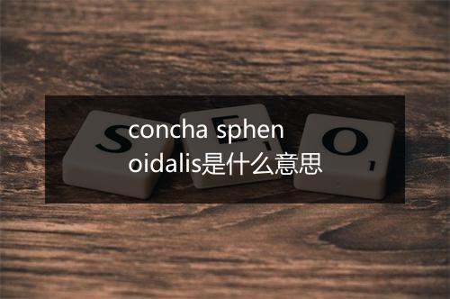 concha sphenoidalis是什么意思