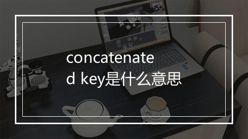 concatenated key是什么意思