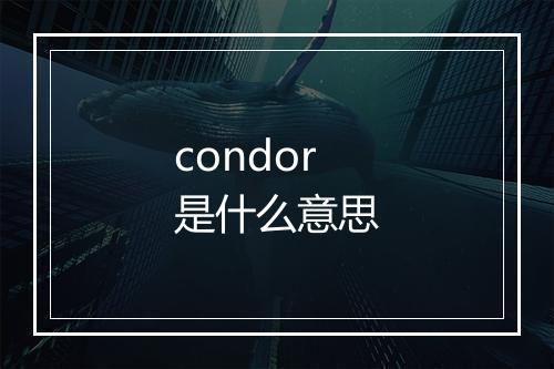 condor是什么意思