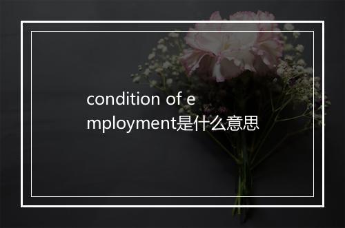 condition of employment是什么意思