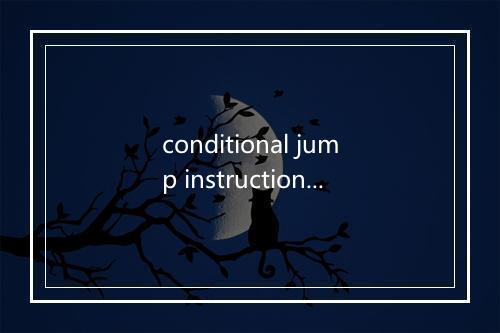 conditional jump instruction是什么意思