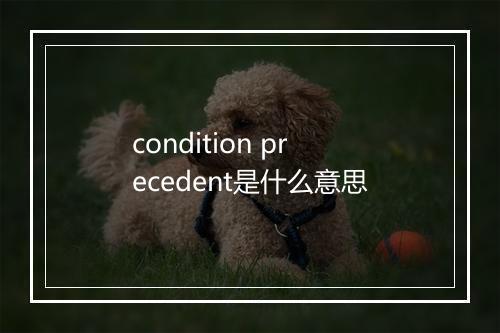 condition precedent是什么意思