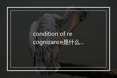 condition of recognizance是什么意思