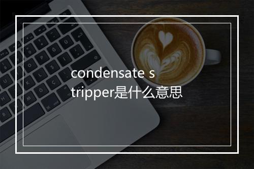 condensate stripper是什么意思