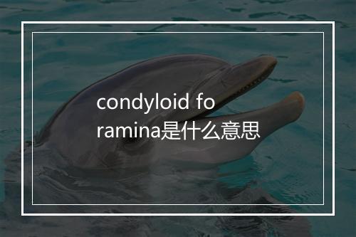 condyloid foramina是什么意思