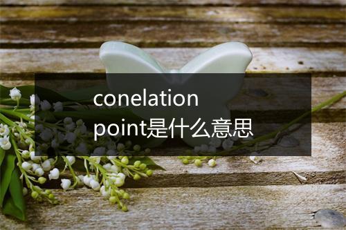 conelation point是什么意思