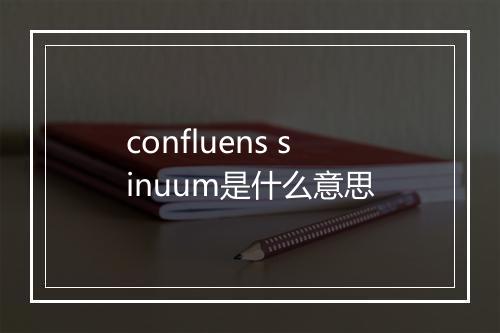 confluens sinuum是什么意思