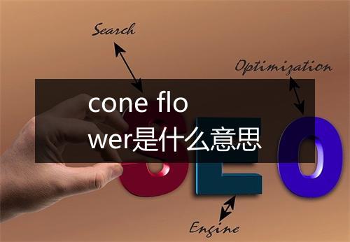 cone flower是什么意思