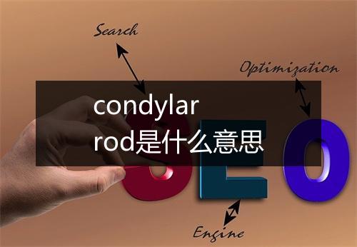 condylar rod是什么意思