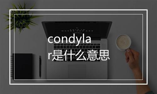 condylar是什么意思