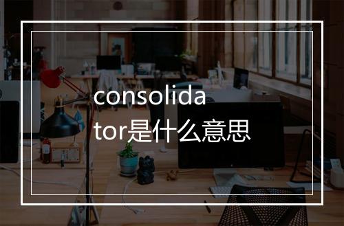 consolidator是什么意思