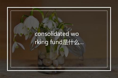 consolidated working fund是什么意思