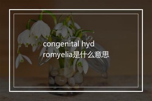 congenital hydromyelia是什么意思