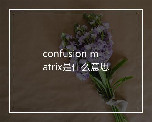 confusion matrix是什么意思