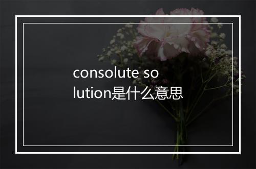 consolute solution是什么意思